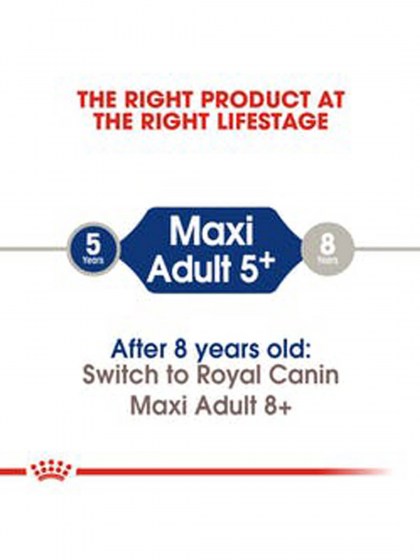 SHN MAXI ADULT 5+_web4